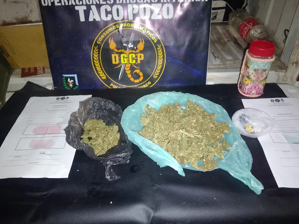 taco poza