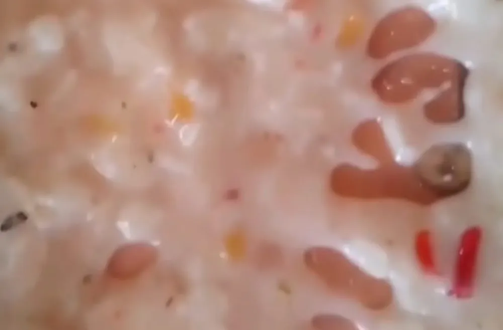 comida con gusano