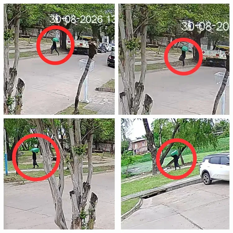 camaras de seguridad