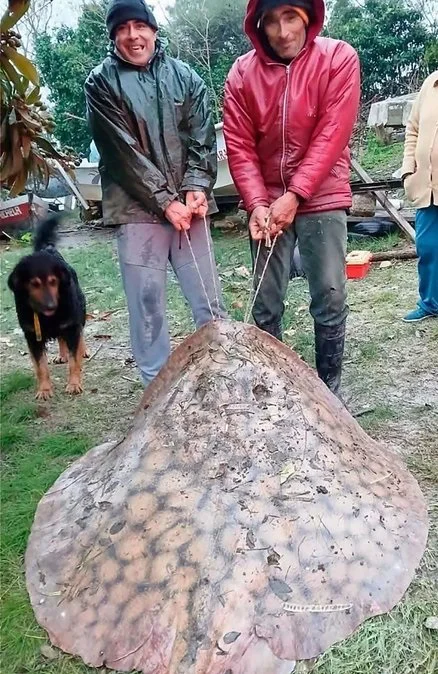 RAYA