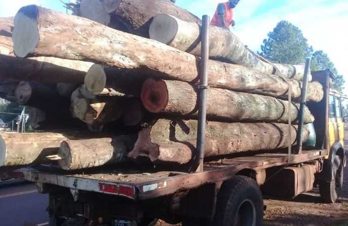 El_camión_transportaba_los_rollos_de_madera_de_algarrobo_con_un_peso_de_3.000_kilogramos_