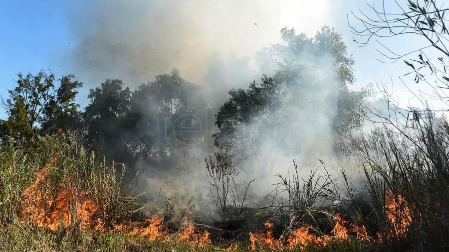 En_las_últimas_horas_se_quemaron_10.000_hectáreas_en_el_delta_del_Paraná.