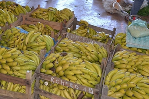 La_banana_formoseña_cotiza_en_los_mercados_regionales.